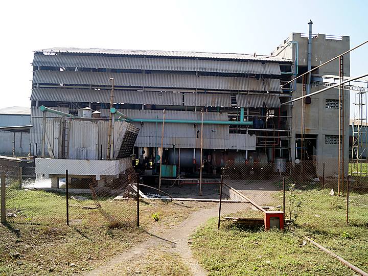 Plant approach